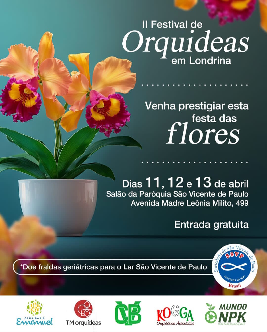 exposiçao 2