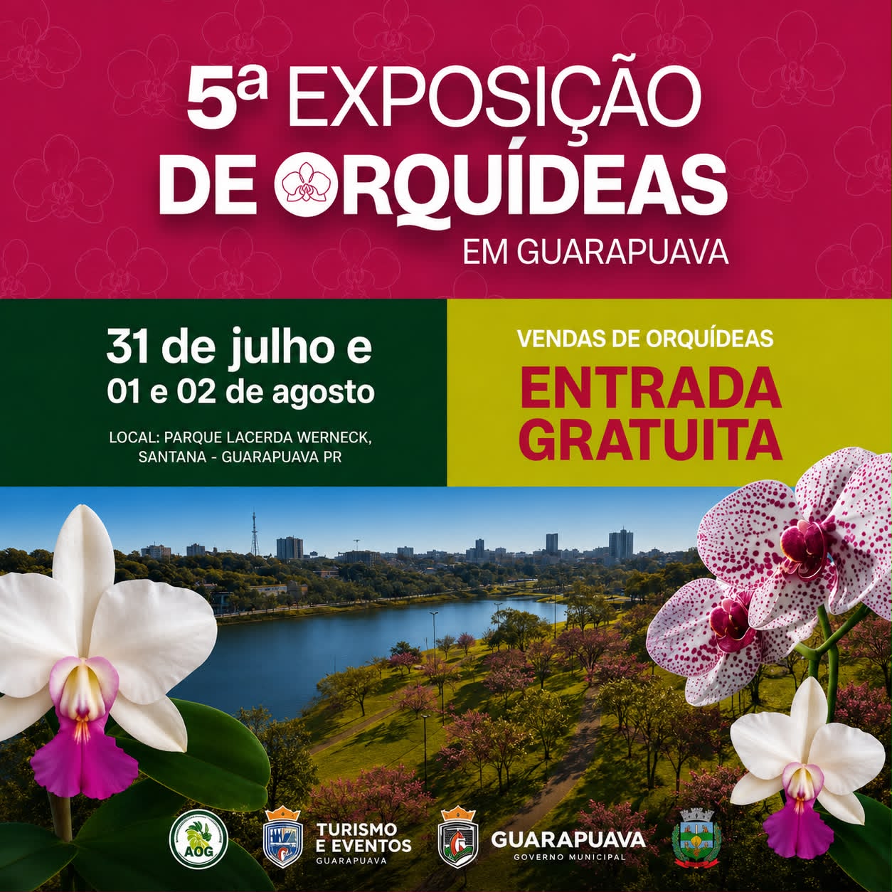 orquidea