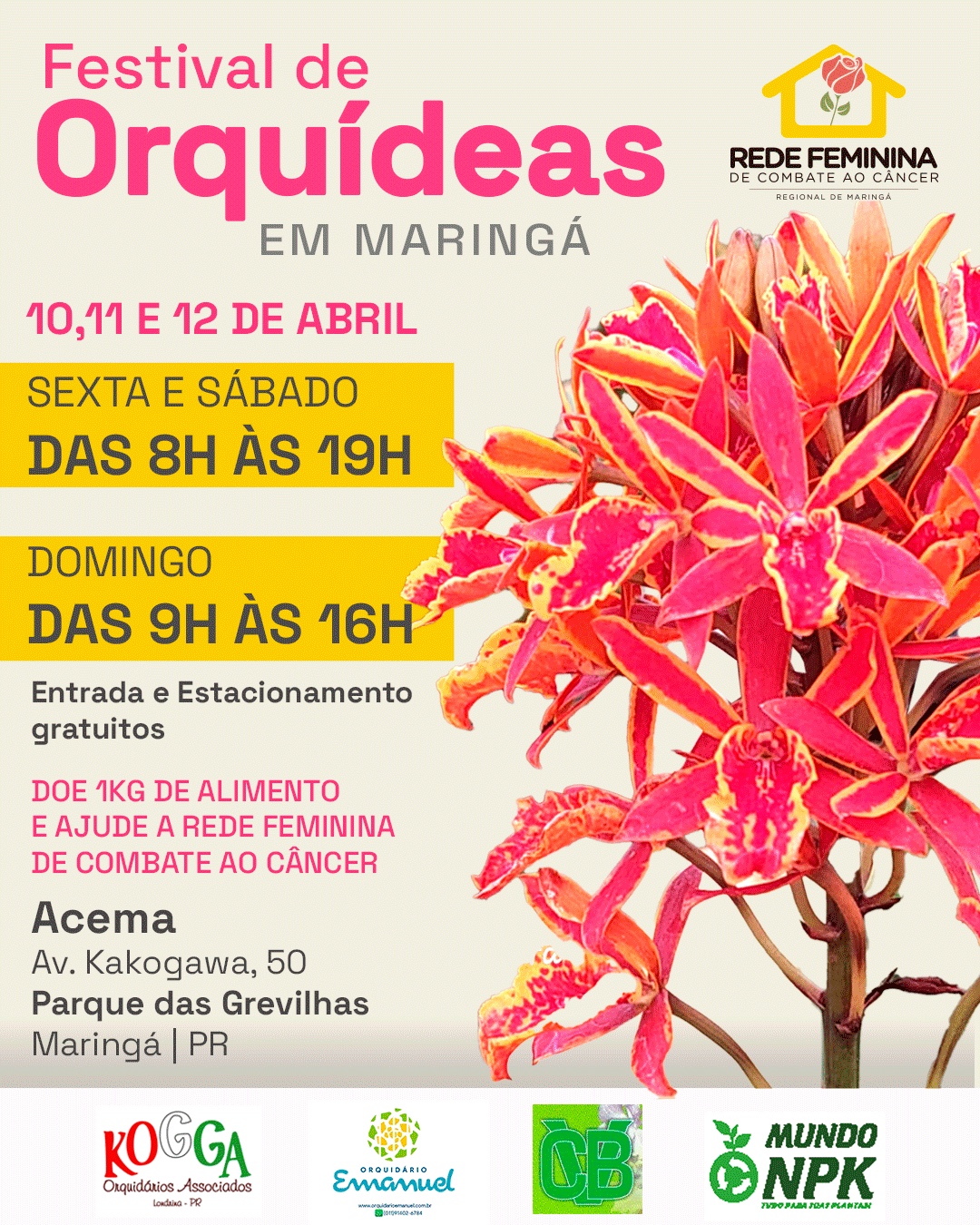 orquidea