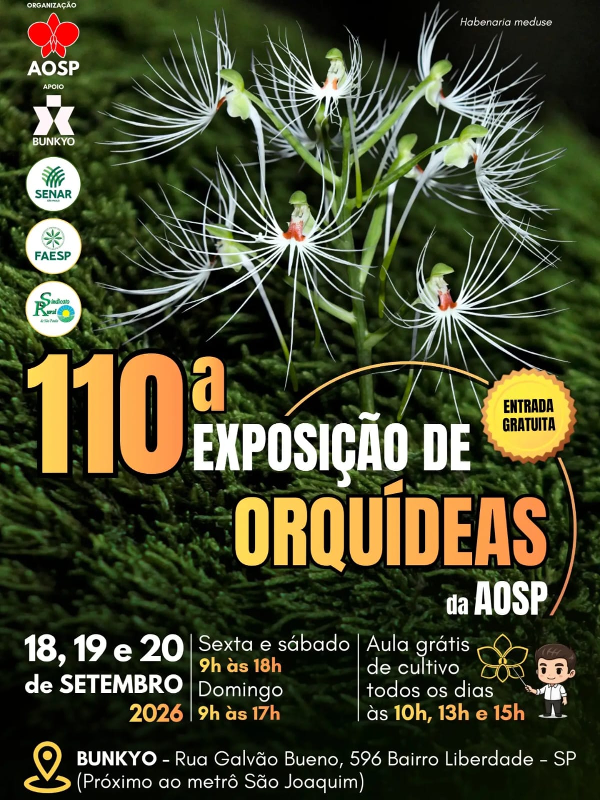 orquidea