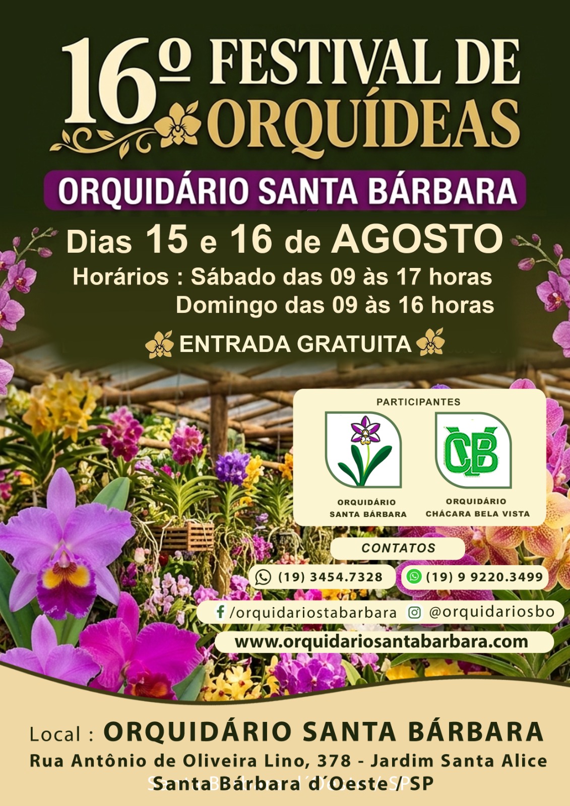 orquidea