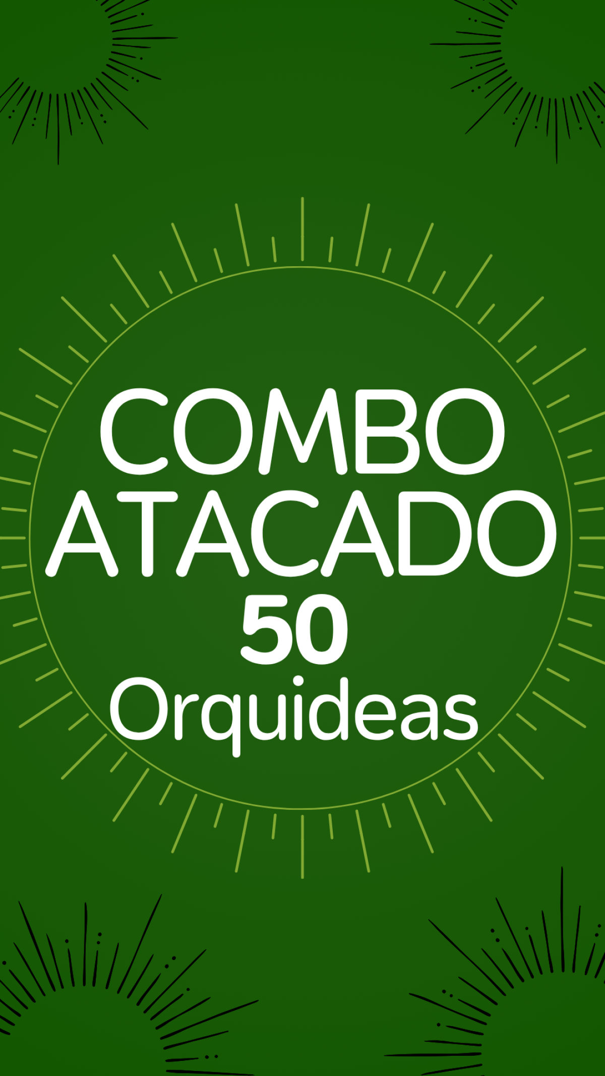 COMBO ATACADO DE ORQUÍDEAS – 50 PLANTAS